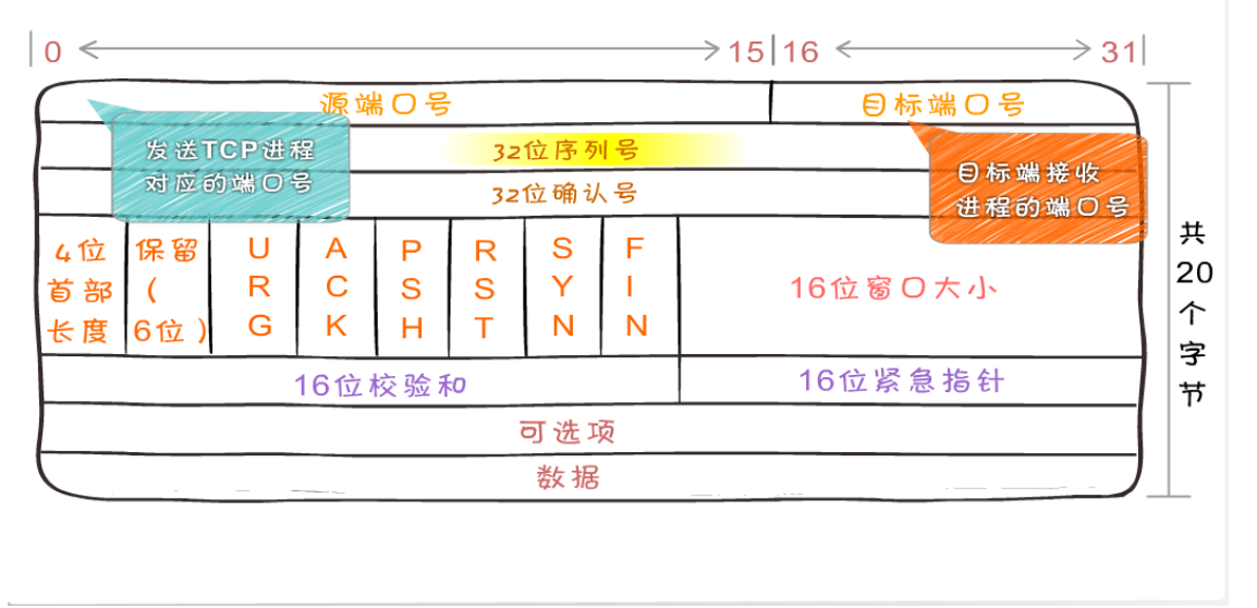 tcp头图